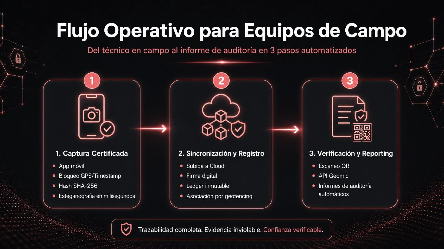Infografía del flujo operativo para equipos de campo